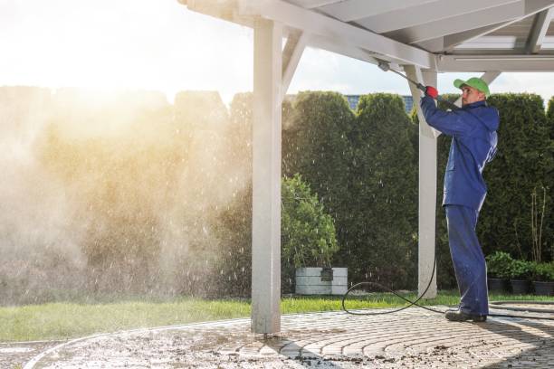 Best Animal Enclosure Cleaning  in Depew, NY